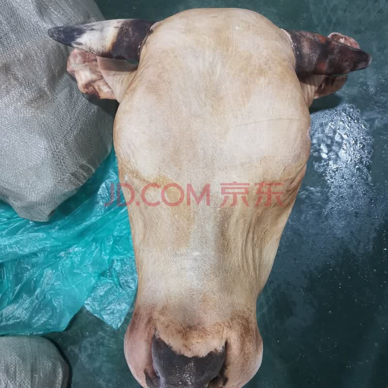 牛头去毛黄牛头整只可带牛舌生鲜烧烤卤牛头食材 艾黎迪尚 40-43斤