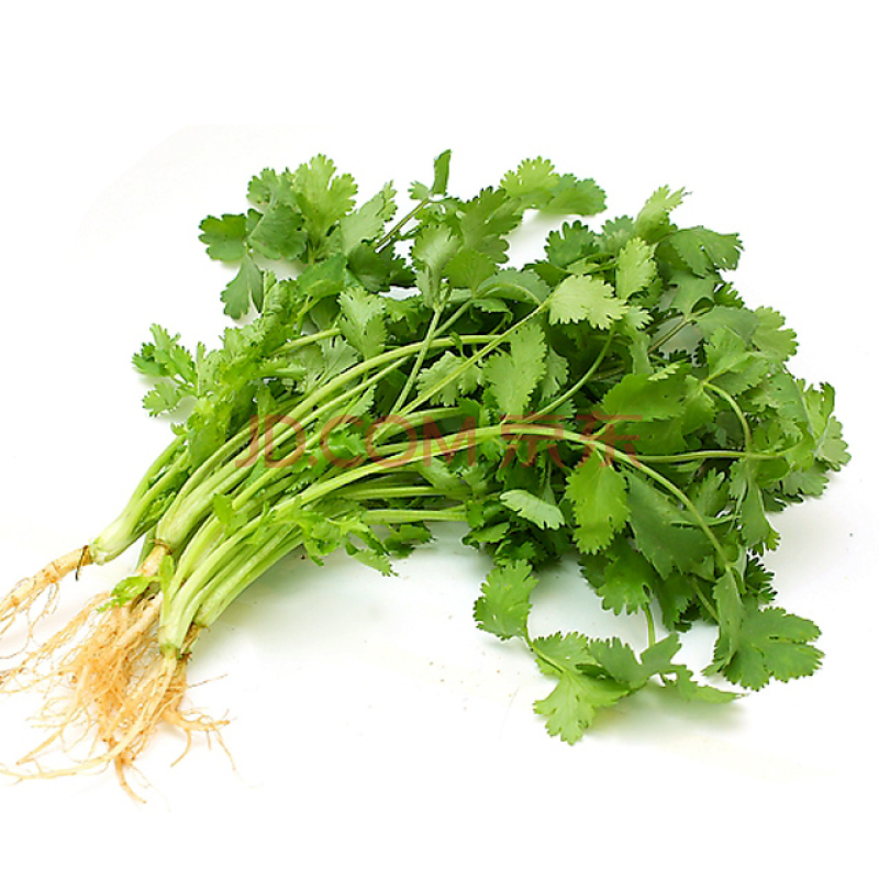 香菜(约100g)