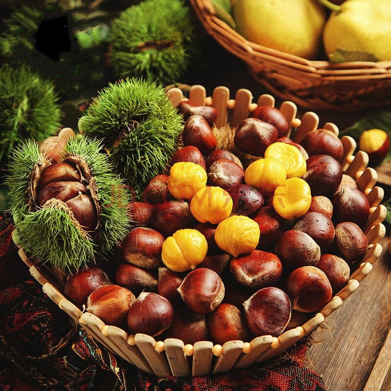 板栗新鲜 3斤农家现摘生栗子当季油栗毛板栗仁蔬菜