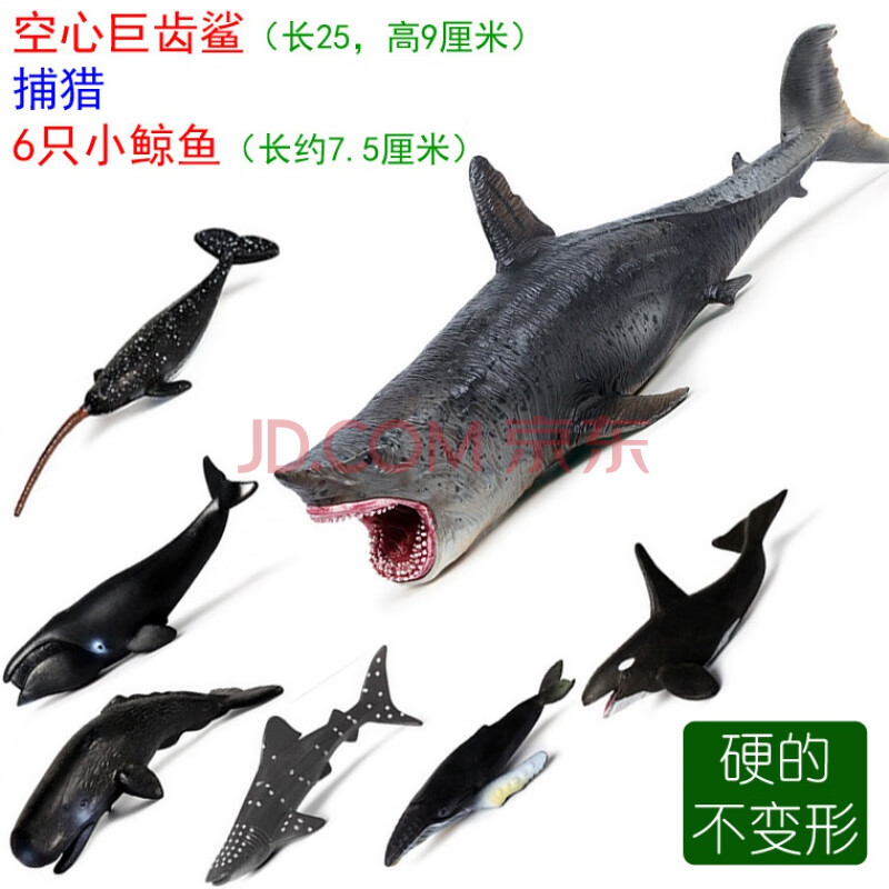 鯊魚錘頭鯊雙髻鯊虎鯊大白鯊仿真模型公仔凱史 空心巨齒鯊 6個小鯨魚