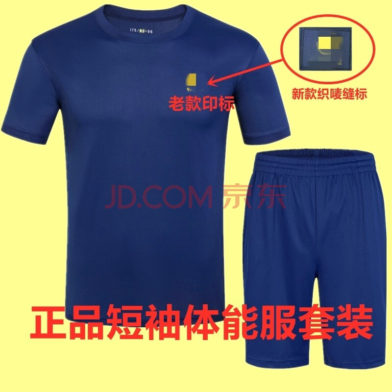 消19防员火焰蓝体能服救援体能服夏季户外运动速干短袖t恤上衣短裤