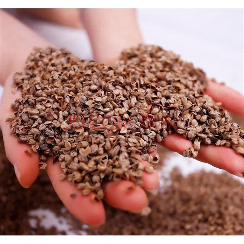 2021新款荞麦壳散装 苦荞麦壳散装10斤免洗天然荞麦皮枕头枕芯填充物