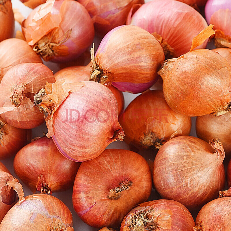 毛葱头东北新鲜5斤大果东北小洋葱鬼子葱圆葱头生鲜