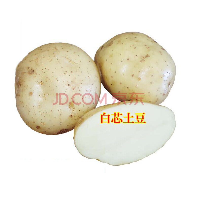 (现货)甘肃土豆 洋芋 定西大土豆 新鲜马铃薯 白心土豆10斤