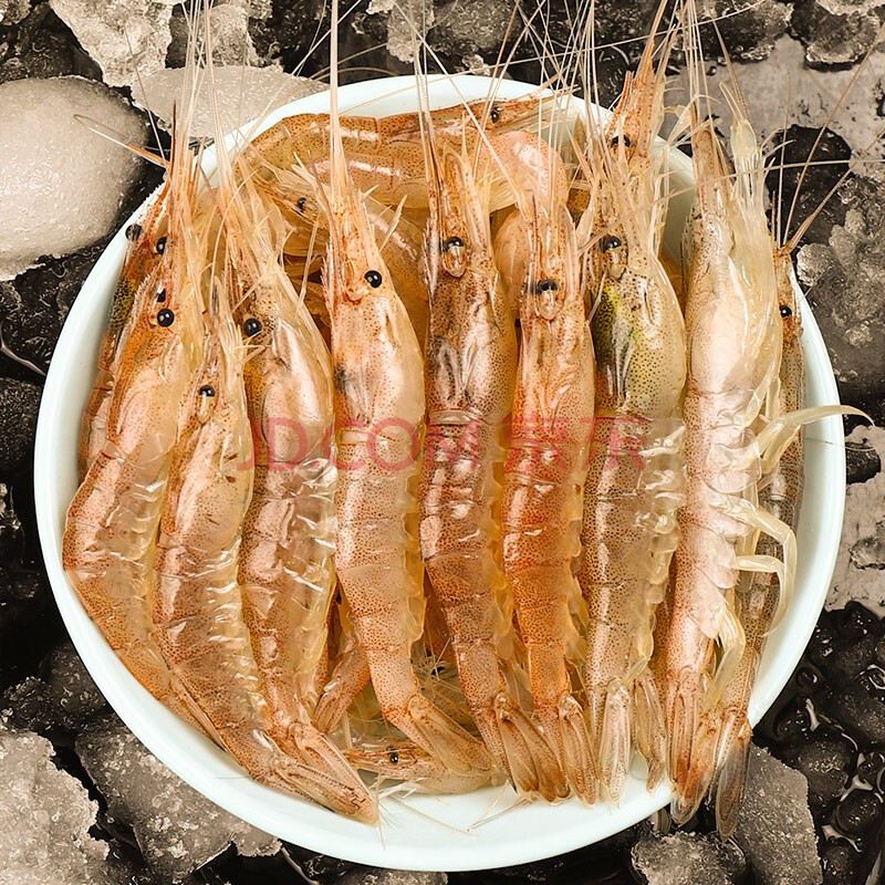 4件包顺丰】海皇湾 小明虾 青岛鲜活小白虾新鲜海捕冷冻 生鲜 虾类