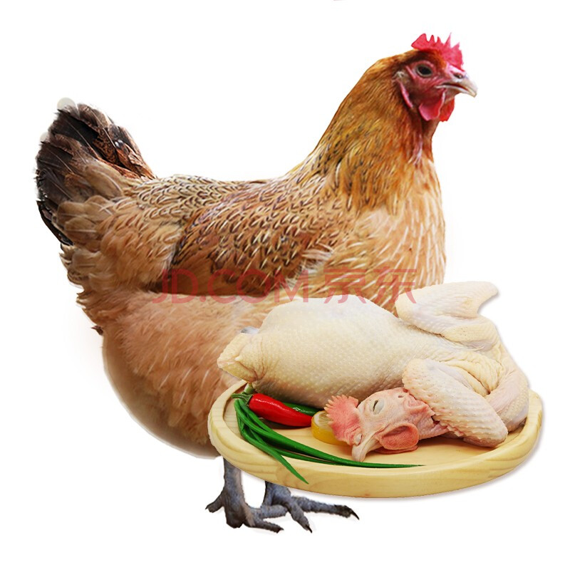 土鸡散养老母鸡2只装 农家新鲜月子鸡草鸡跑山鸡柴火鸡整只