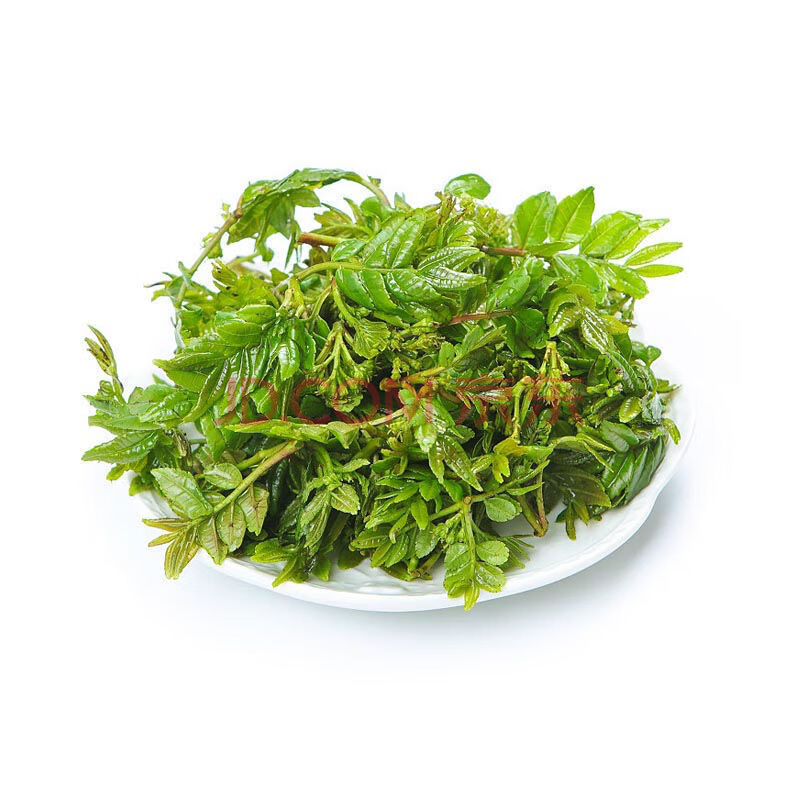 【现货现发】2021年新鲜花椒芽菜露天花椒叶农家土特产花椒树麻香野菜