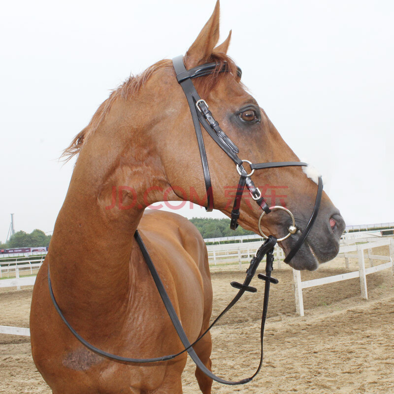 意大利进口水勒缰绳全牛皮水勒缰绳8字障碍水勒缰绳bcl321128
