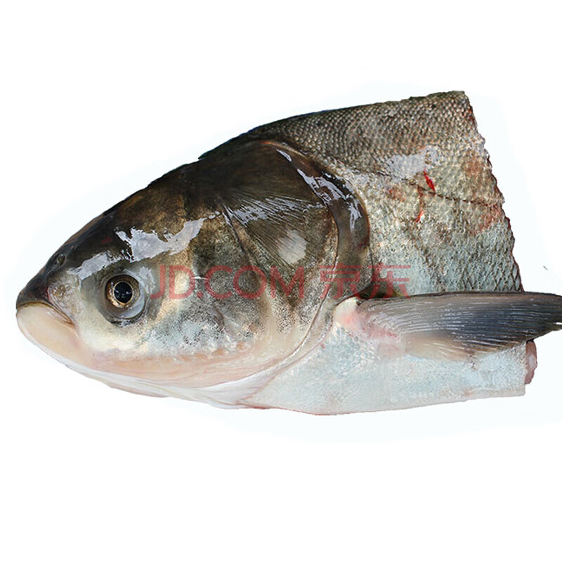 【顺丰现货】 大鱼头 胖头鱼头 鱼头 鲢鱼头 鲜活新鲜鱼头 淡水鱼