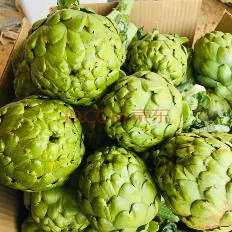 鑫勇泰 云南新鲜洋蓟朝鲜蓟蔬菜产地直发新鲜 4斤