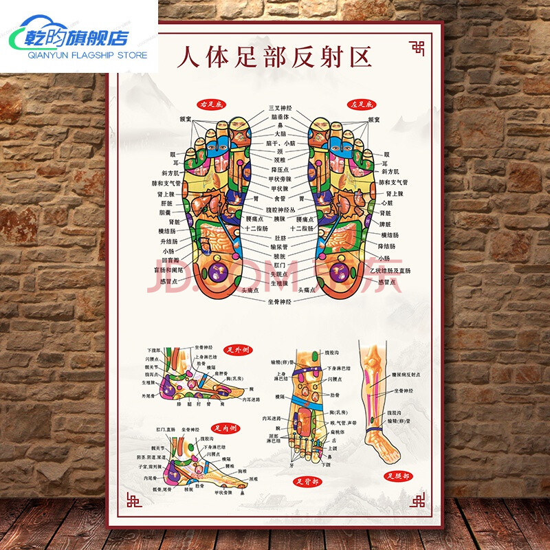 小米生態家居同款乾昀人體耳部全息圖手足部反射區掛圖經絡穴位圖牆貼