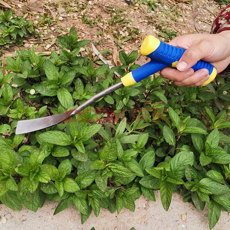 挖草工具園藝小鏟子栽苗挖蒜鏟農用挖野菜拔草工具挖藥材蚯蚓種花種菜