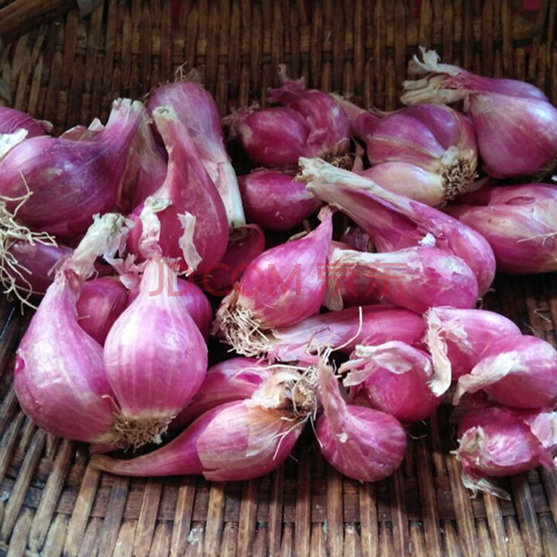 四川红葱头小葱头香葱头2-5斤 红葱头 两斤装