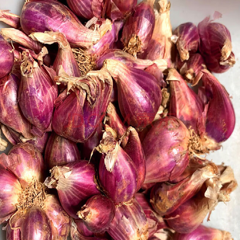 葱头 干葱头广东葱头新鲜葱种子头商用红葱头酱红葱头油葱酥 500g