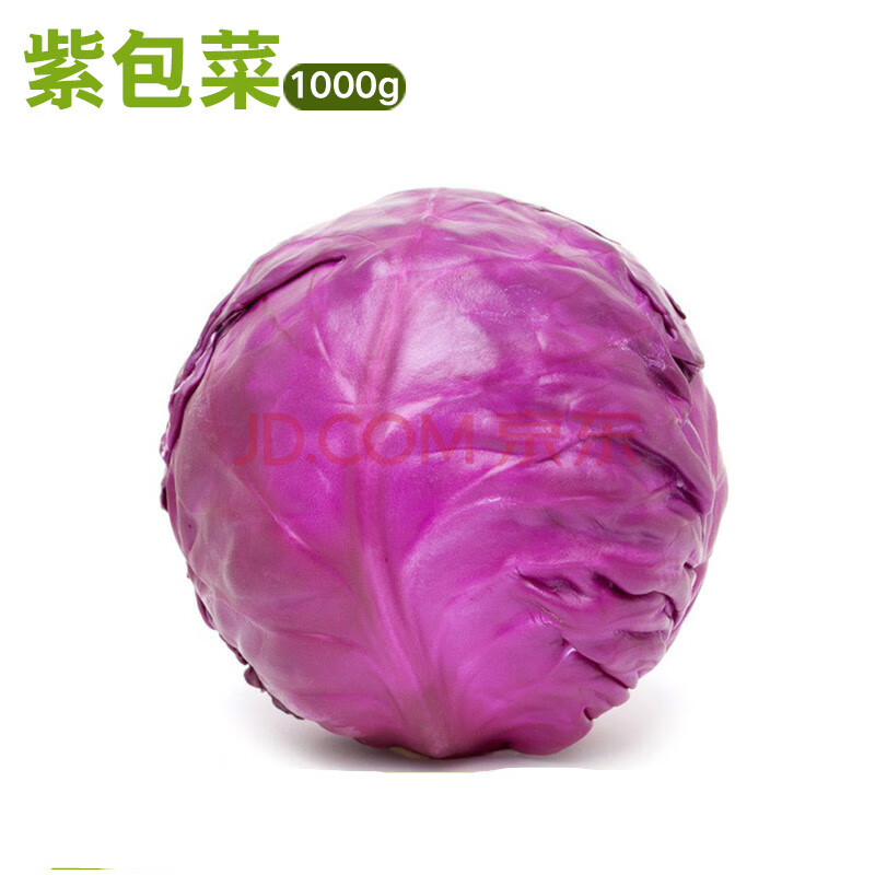 新鮮蔬菜紫甘藍1000g紫包菜紫色球生菜蔬菜沙拉生菜即食橄欖菜 2500g