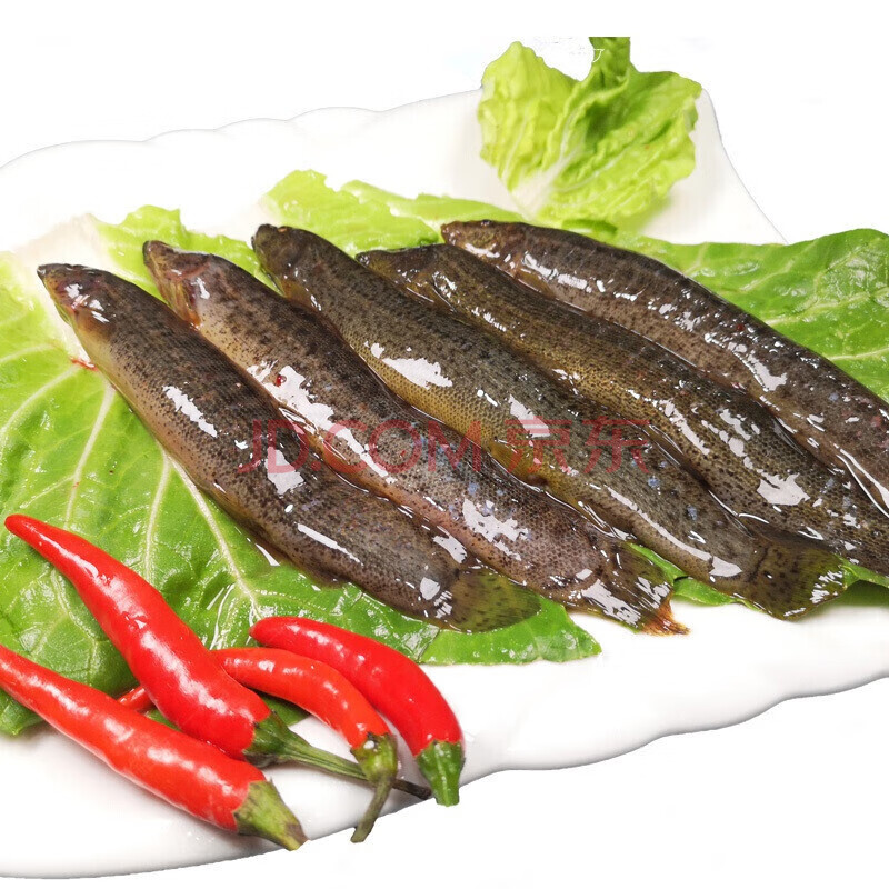 泥鳅 现杀农家泥鳅 现捕泥鳅 新鲜现杀淡水产 富铭士 3斤