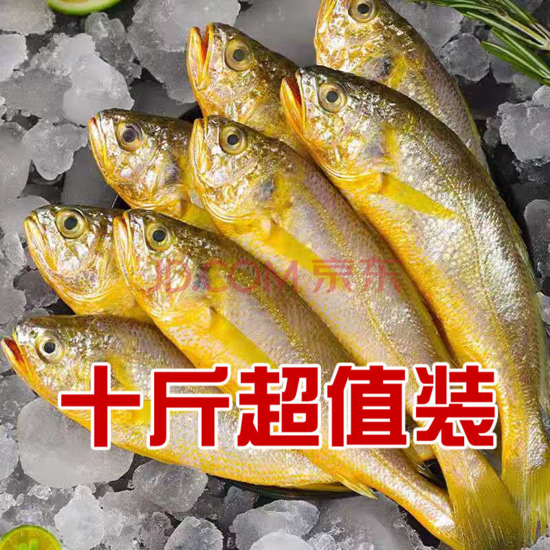 海鮮水產 魚類 閩星 野生黃花魚5斤舟山小黃魚海鮮活鮮冷凍 5斤精品