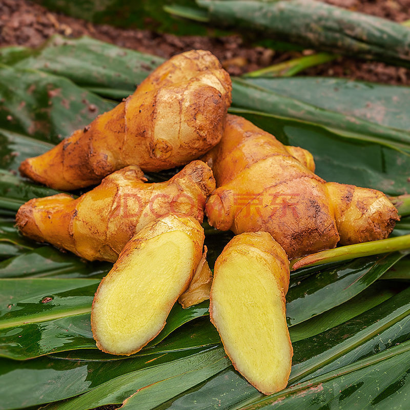 【亏本冲量】山东生姜新鲜大黄姜老姜月子姜 【带箱9.