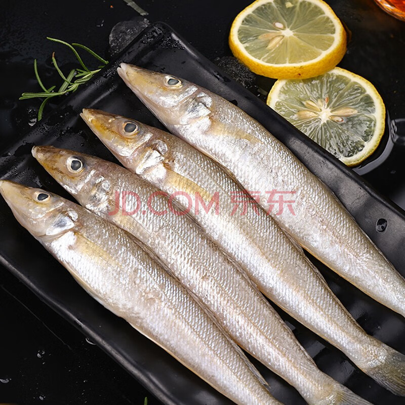 【顺丰冷运】源外园沙丁鱼新鲜海捕深海鱼鲜活冷冻速冻500g冰鲜海鲜