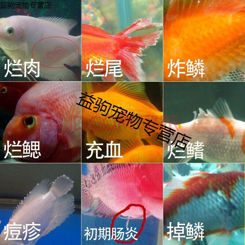 黴素魚用錦鯉金魚炸鱗爛肉爛尾爛鰭甲基藍魚缸水族專用 3瓶甲基藍 鹽