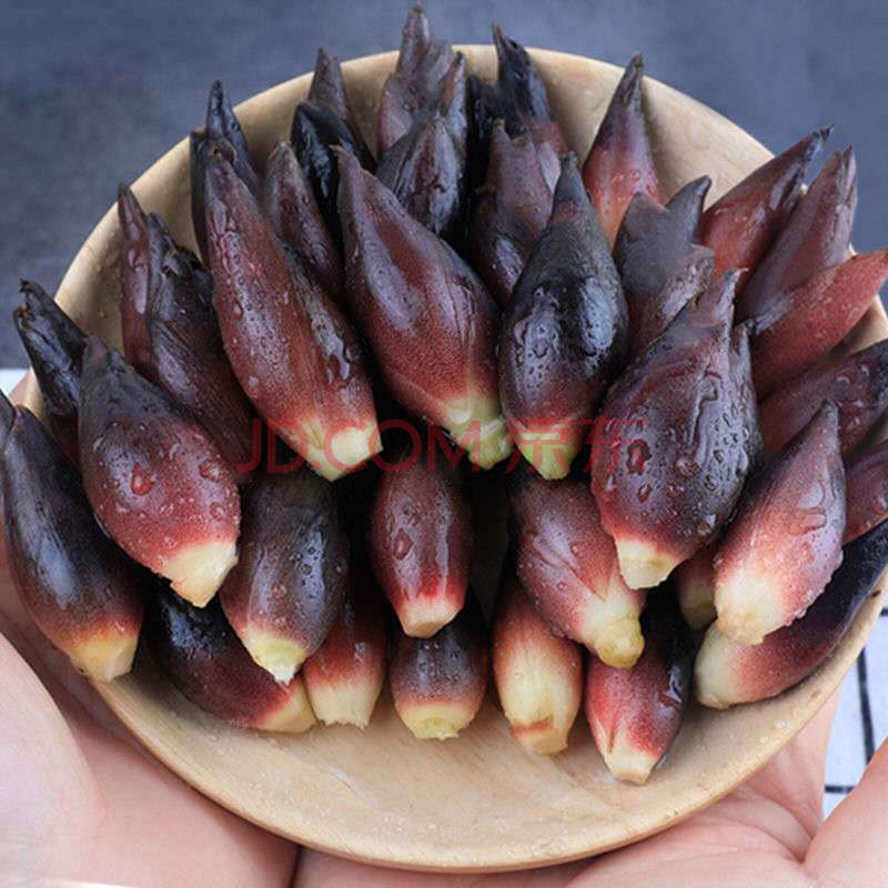 贵州现摘新鲜阳荷姜野菜洋荷姜 野生洋藿阳何茗荷