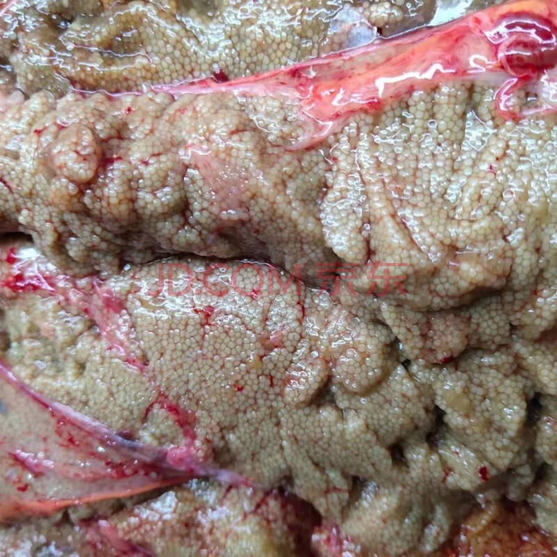 新鲜草鱼泡冷冻水产鱼泡泡鱼泡淡水鱼鱼肚杂花胶鱼胶 鱼籽1斤装