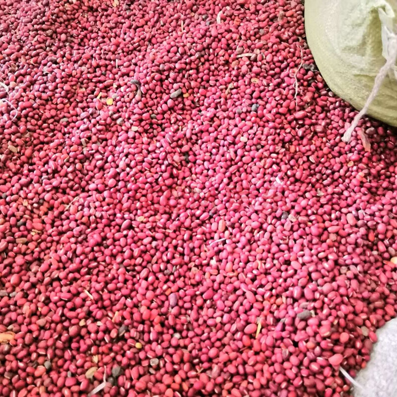 红豆约4.16吨
