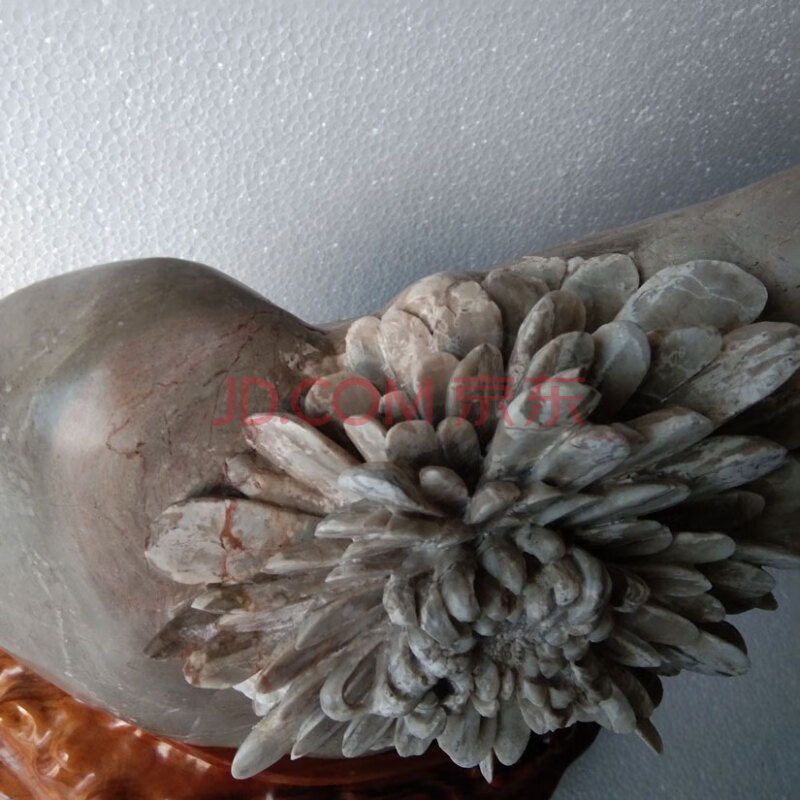  菊花石一个 精品大花彩色原石，总高45厘米，宽48厘米，花直径27厘米 带实木底座