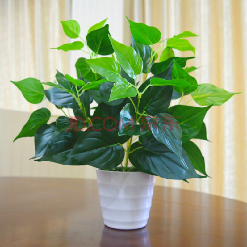 仿真塑料花草绿植假花室内外装饰塑料盆栽绿萝小盆景仿真花草摆件 中