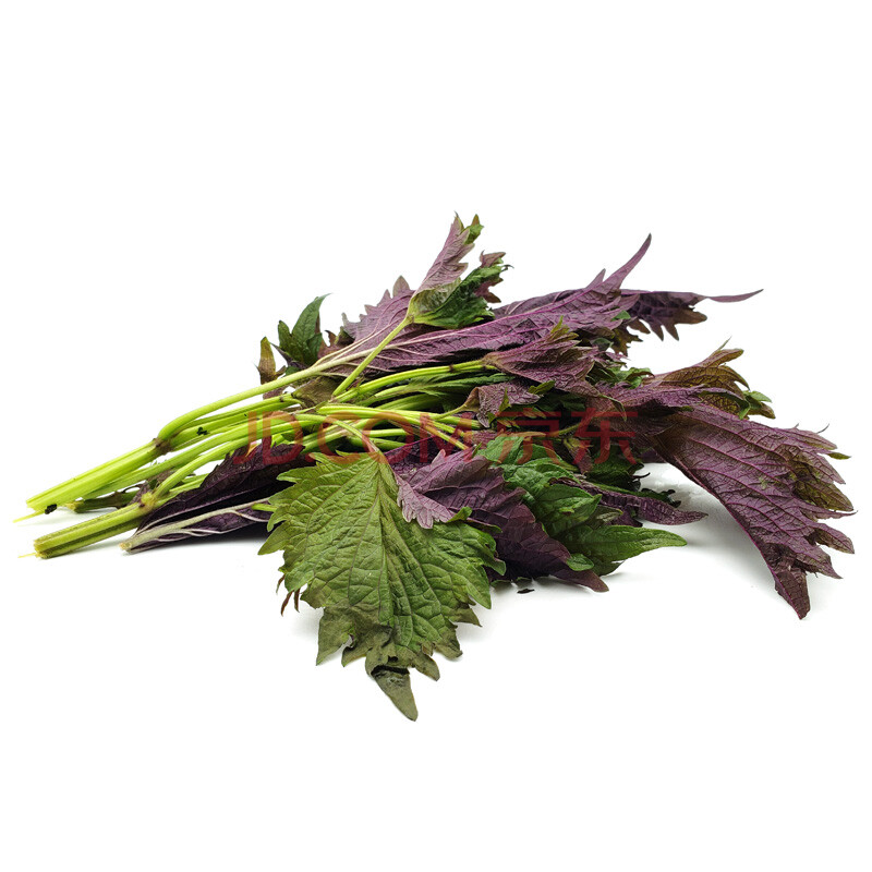 广西新鲜紫苏叶 紫色苏子叶韩式烧烤烤肉食材蔬菜 3斤