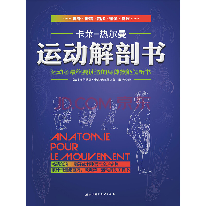 深度解析运动员竞技状态与战术演变