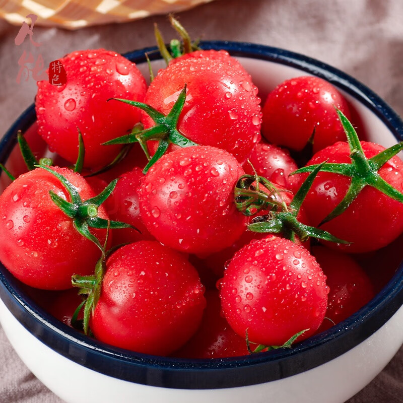 海南千禧果圣女果新鲜水果樱桃小番茄小西红柿