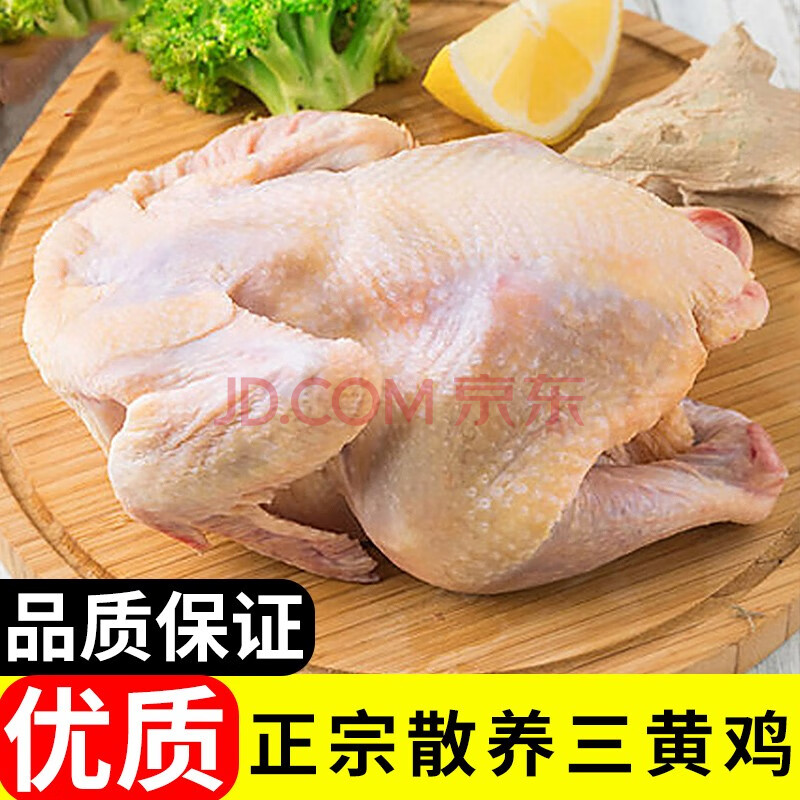 金牌肉食品正宗三黃雞土雞肉整隻新鮮走地雞新鮮雞肉紅燒白切煲湯食材