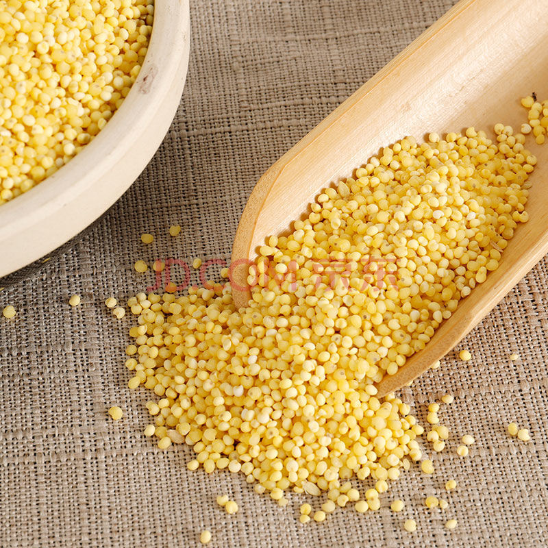 东北粘大黄米农家粘糯大黄米黄小米米粘米饭米新米 粘大黄米5斤(新粮)