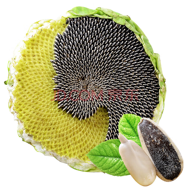 【莘县馆】向日葵花盘 干花盘 葵花盘 1个装【图片 价格 品牌 报价】-