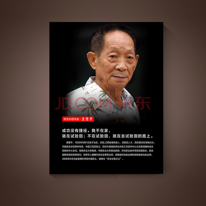 斯哆瑞 科学家装饰画伟人画像无框名人名言挂画学校教室走廊壁画教育