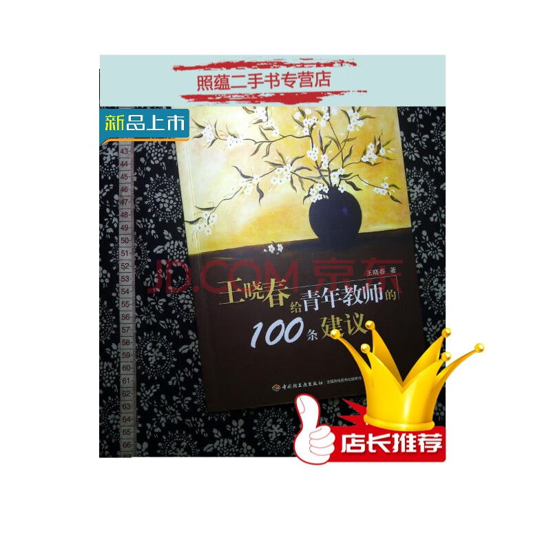 【二手9成新】王晓春给青年教师的100条建议sn0734