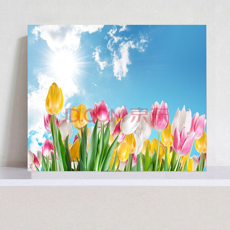 画简约现代卧室床头餐厅挂画走廊墙画壁画玫瑰花无框画(单幅) 郁金香