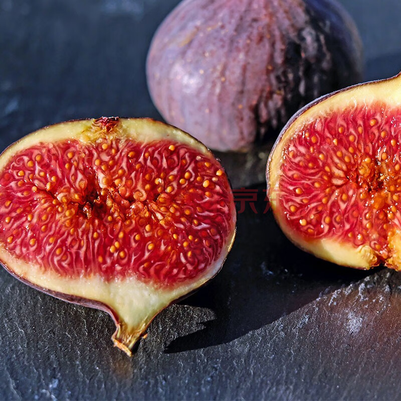 无花果p14/1加仑盆栽苗 阳台露台庭院休闲种植果树苗 黑爵士 小2加仑