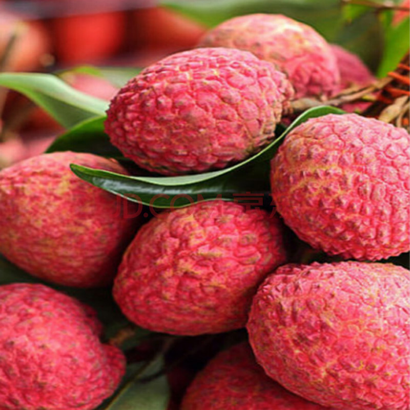 水果 荔枝 宝然 东莞特产糯米糍荔枝 新鲜多汁 皮薄肉厚 6斤