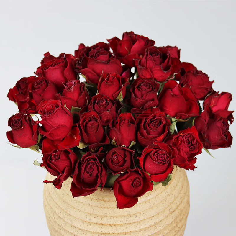 多头玫瑰干花花束蔷薇拍摄道具天然家居装饰diy摆设真花插花 单头红色