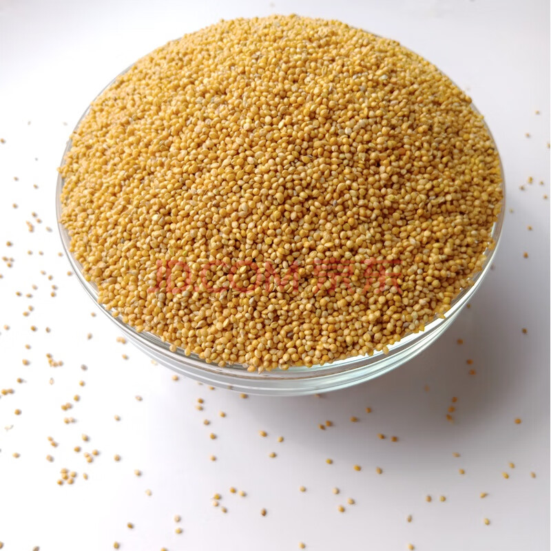 新黄谷子带壳小米虎皮牡丹玄凤鹦鹉鸟八哥鹩哥鸟食饲料鸟粮食