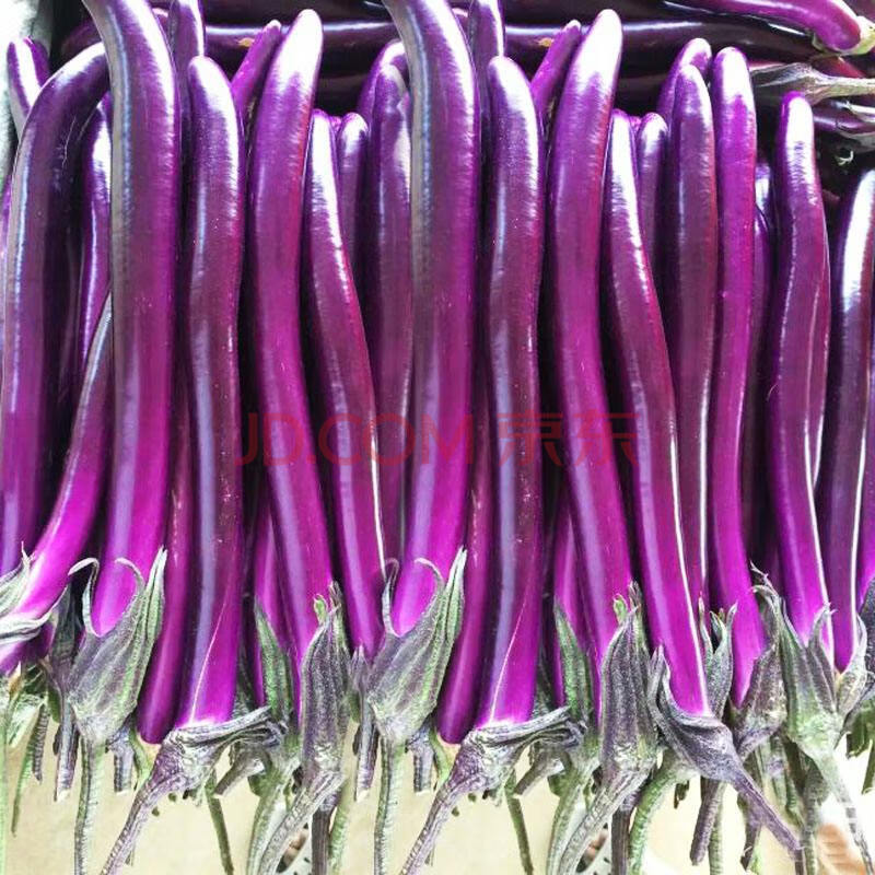 苏北现新鲜长茄子 线茄子 紫茄子薄皮茄 杭茄 易熟5斤* 一份*2