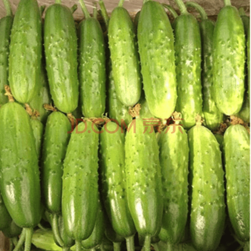 本地黄瓜 约500g