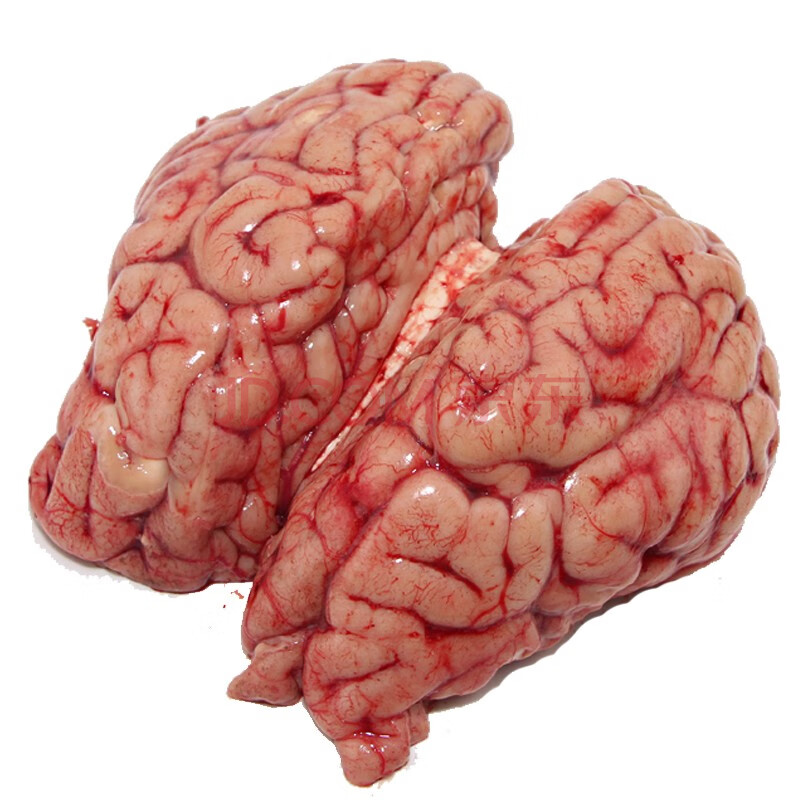 牛脑子 牛脑花 新鲜黄牛牛脑 牛肉 2kg
