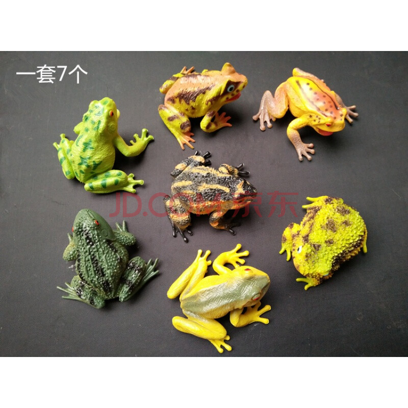 散货仿真动物玩具绿青蛙模型蛤蟆蟾蜍摆件儿童认知软体玩具 全套7只