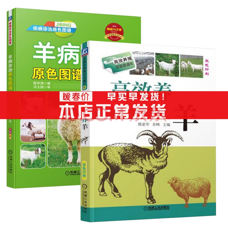 养羊看什么书好 养羊应该看什么书