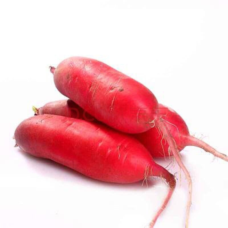 红萝卜5斤 红皮水萝卜 泡菜萝卜 新鲜蔬菜 产发