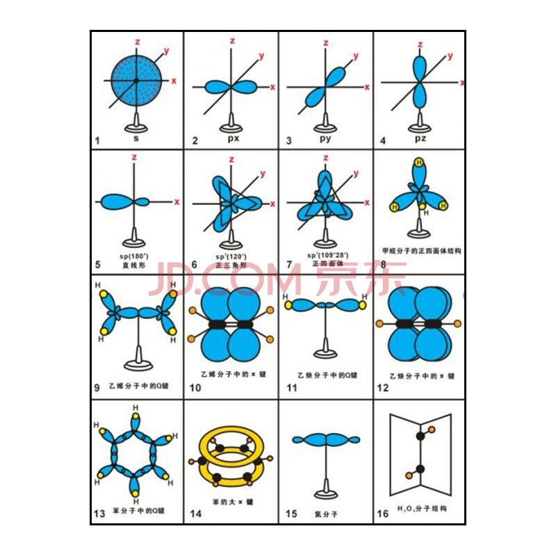 電子雲雜化軌道模型(人教版16件/套)高中化學教具 教學儀器