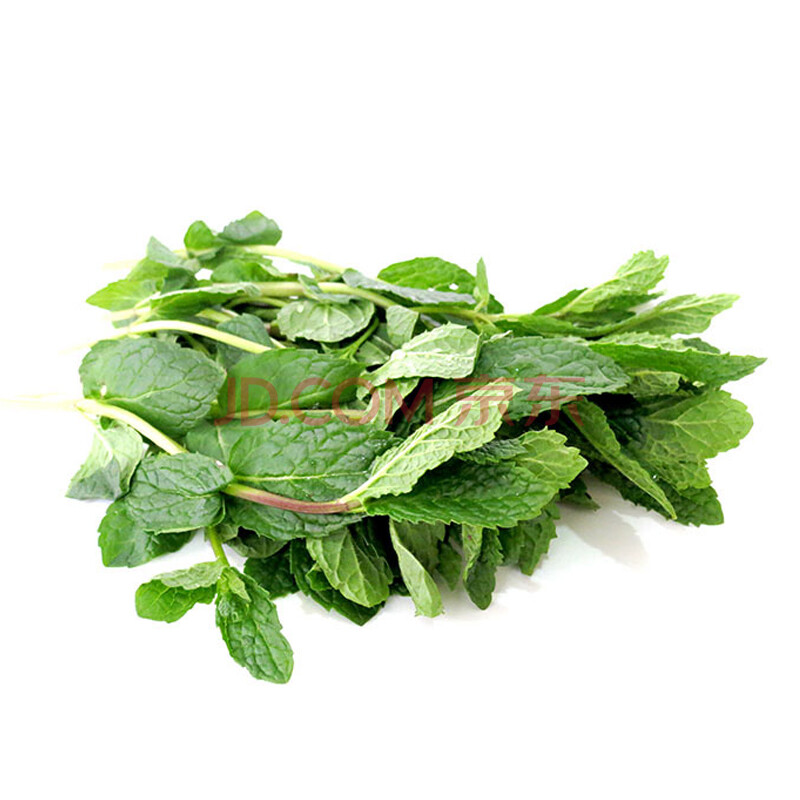 新鲜薄荷叶 鱼香菜 留香菜 留兰香500g新鲜蔬菜